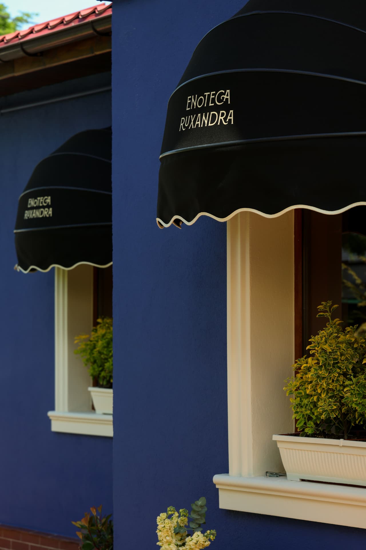 Intrarea Enoteca Ruxandra